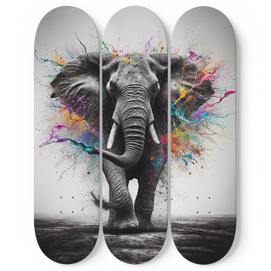 Elephant#1.0 3-Deck Skateboard Wall Art