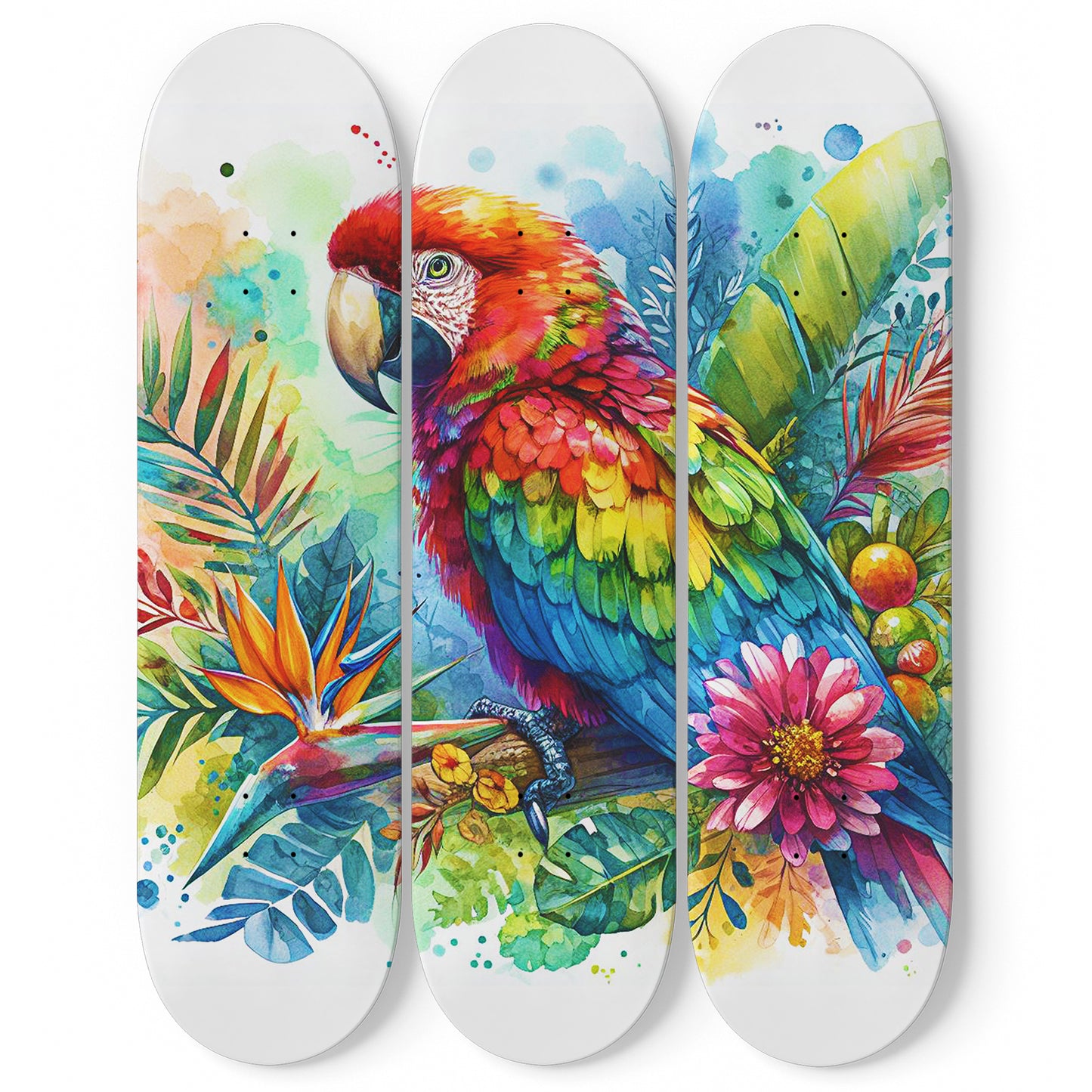 Beautiful Parrot #2 3-Deck Skateboard Wall Art